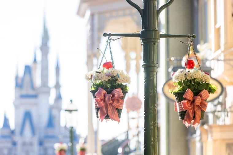 ディズニー・パルパル―ザ