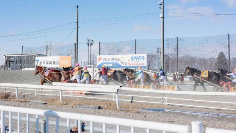 世界唯一！迫力のレースと動物園が冬でもまとめて楽しめちゃうスポット　「ふれあいの極意」を獣医師ママライターが解説｜北海道・帯広市「帯広競馬場」