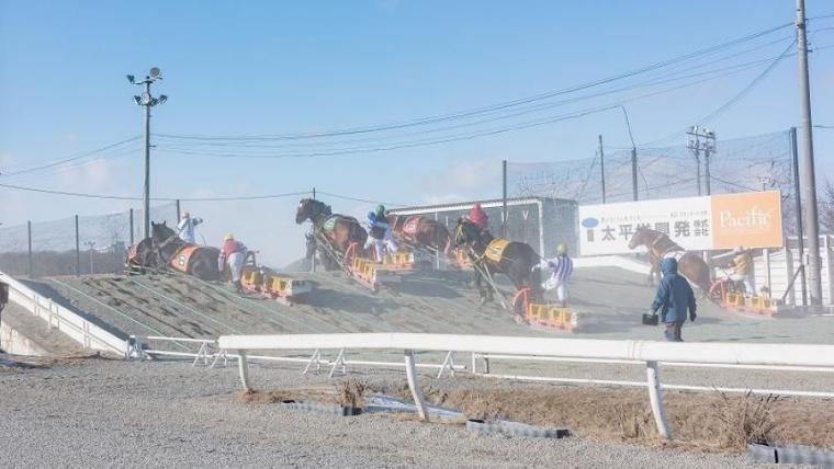 世界唯一！迫力のレースと動物園が冬でもまとめて楽しめちゃうスポット　「ふれあいの極意」を獣医師ママライターが解説｜北海道・帯広市「帯広競馬場」