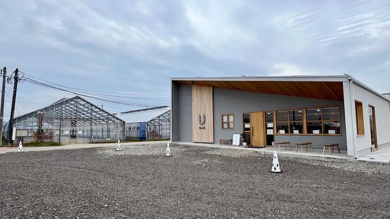 大粒いちごを楽しむ富山のいちご狩り【砺波・私と苺】併設カフェでは完熟いちごのパフェや大福も