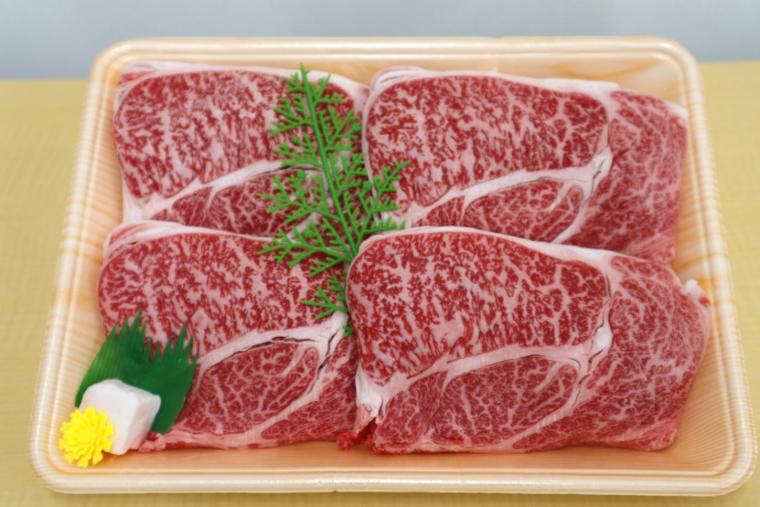 推し鍋ランキングTOP5！～高知の食材大集合～