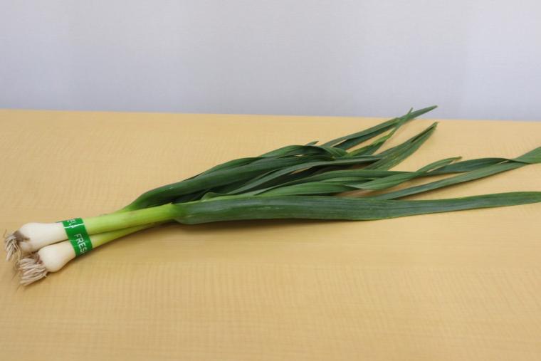 推し鍋ランキングTOP5！～高知の食材大集合～