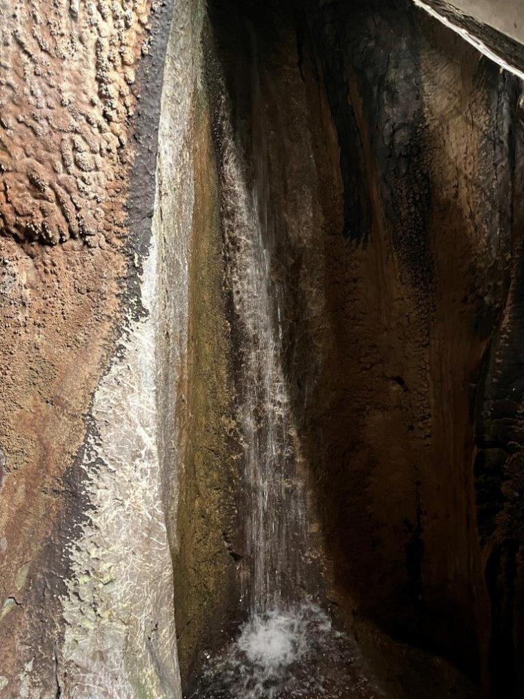 龍河洞で非日常体験！スリル満点の冒険コースに挑戦