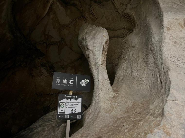 龍河洞で非日常体験！スリル満点の冒険コースに挑戦