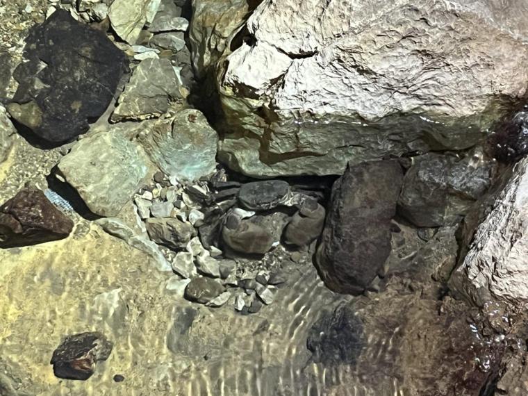 龍河洞で非日常体験！スリル満点の冒険コースに挑戦