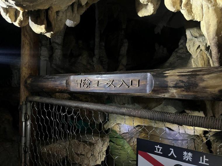 龍河洞で非日常体験！スリル満点の冒険コースに挑戦