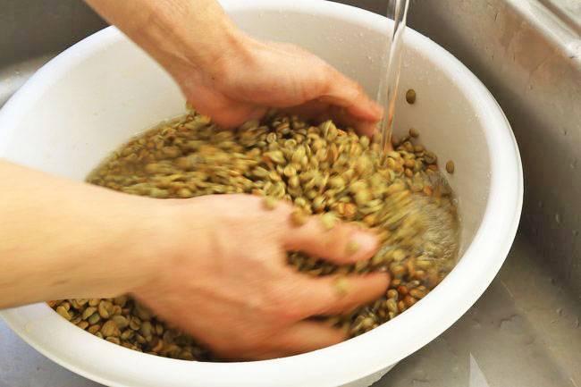 奥大山のきれいな水が生む澄んだコーヒー。廃校の理科室で焙煎される「奥大山の水洗い珈琲豆」｜鳥取県江府町