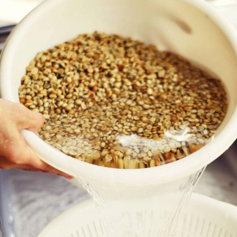 奥大山のきれいな水が生む澄んだコーヒー。廃校の理科室で焙煎される「奥大山の水洗い珈琲豆」｜鳥取県江府町