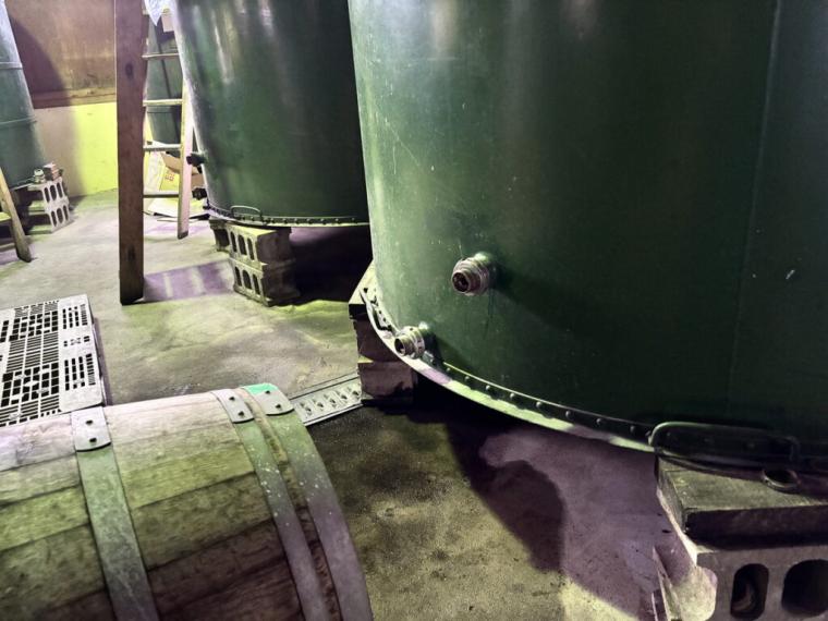 砂丘で育ったブドウから造る「北条ワイン」地震や産地名称…困難を乗り越えて繋ぐ、価値あるワイン｜鳥取県北栄町