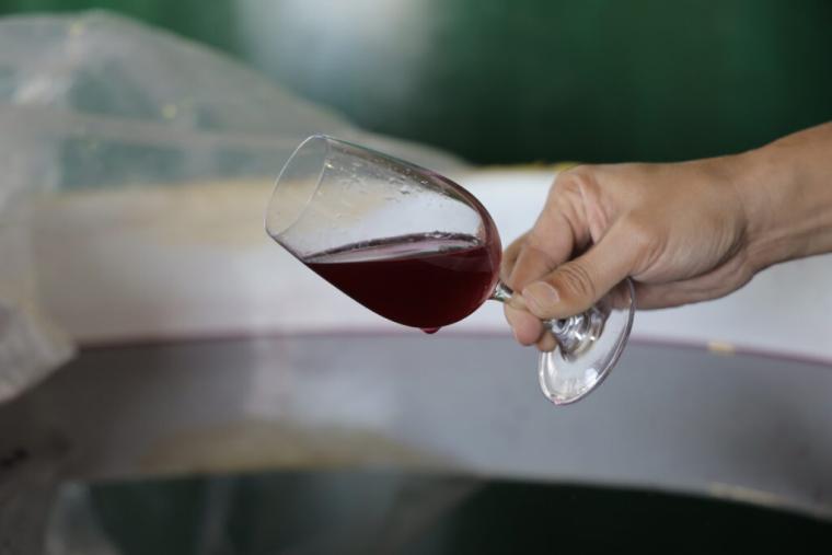 砂丘で育ったブドウから造る「北条ワイン」地震や産地名称…困難を乗り越えて繋ぐ、価値あるワイン｜鳥取県北栄町