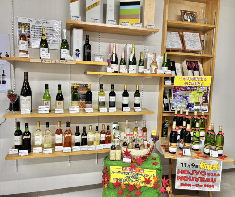 砂丘で育ったブドウから造る「北条ワイン」地震や産地名称…困難を乗り越えて繋ぐ、価値あるワイン｜鳥取県北栄町