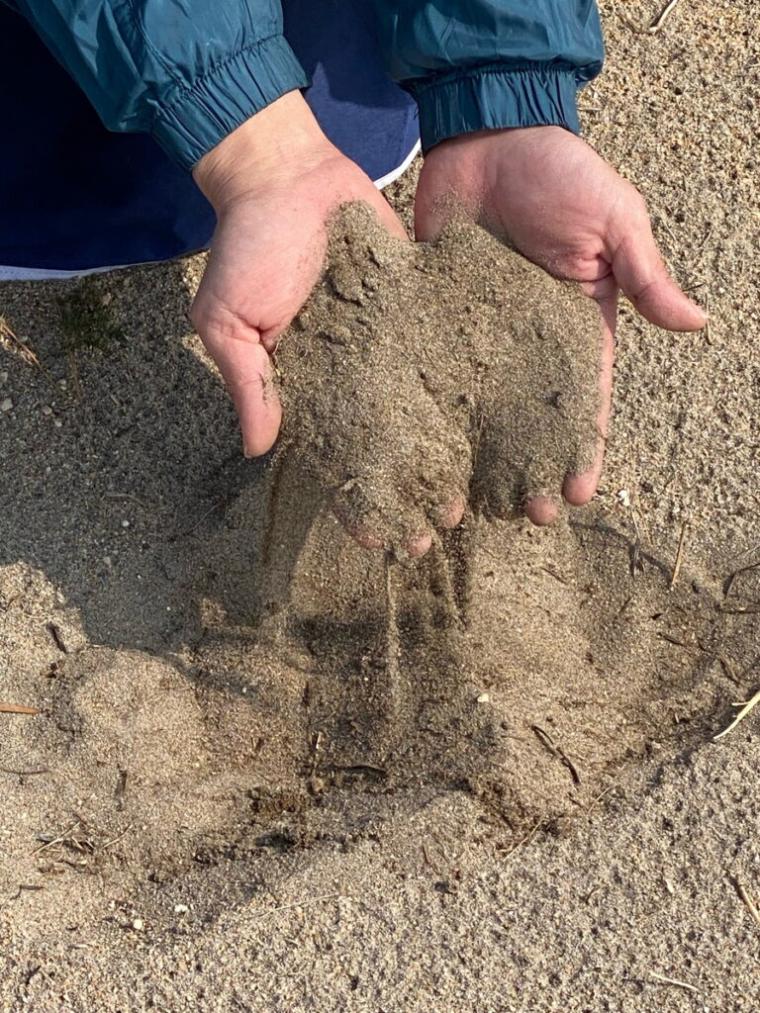 砂丘で育ったブドウから造る「北条ワイン」地震や産地名称…困難を乗り越えて繋ぐ、価値あるワイン｜鳥取県北栄町