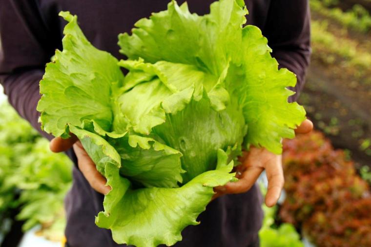 八ヶ岳グレイスホテル