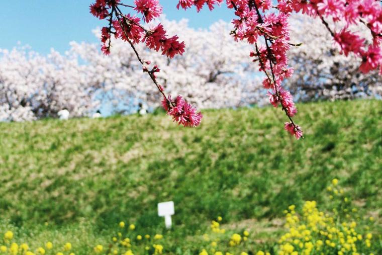 小布施（おぶせ）