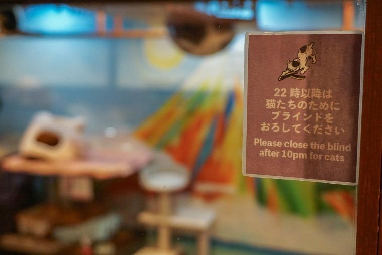 ねこ浴場＆ねこ旅籠保護猫カフェネコリパブリック大阪