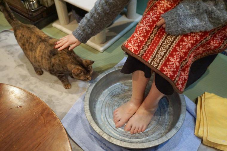 ねこ浴場＆ねこ旅籠保護猫カフェネコリパブリック大阪