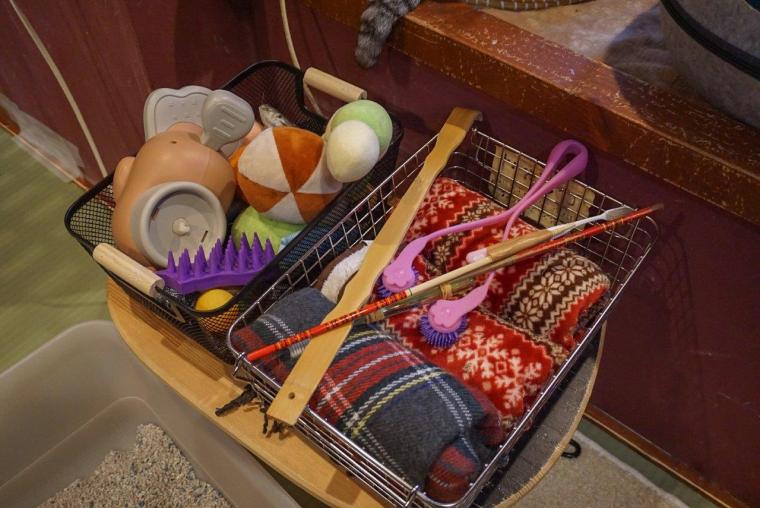 ねこ浴場＆ねこ旅籠保護猫カフェネコリパブリック大阪