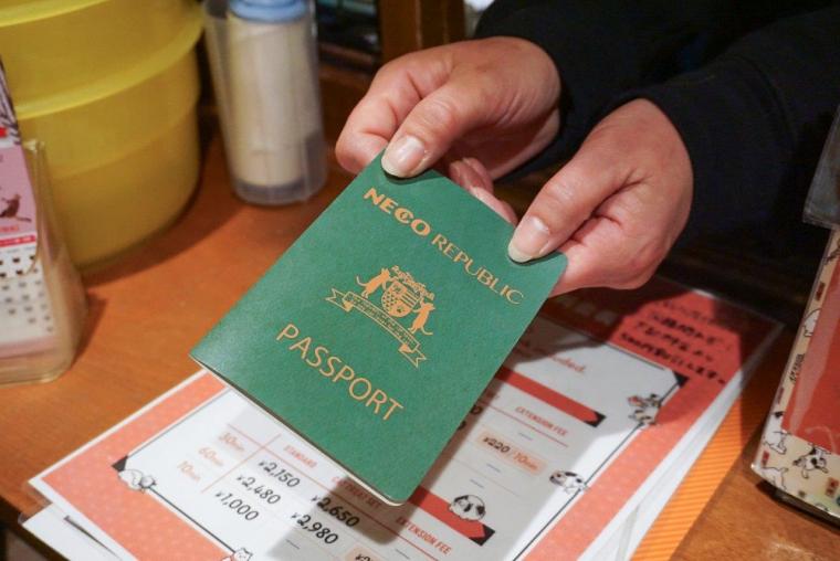 ねこ浴場＆ねこ旅籠保護猫カフェネコリパブリック大阪