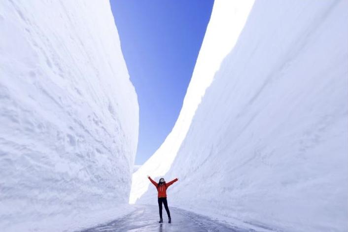 「立山黒部アルペンルート」雪の大谷2