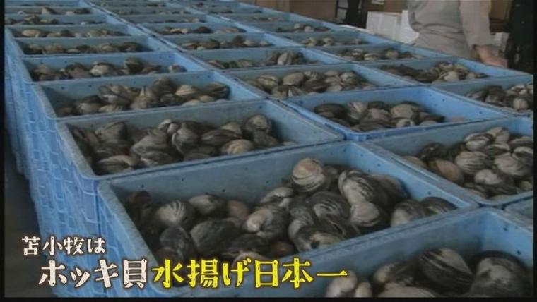 こんなにも長く愛されるのはワケがある？苫小牧名物「ホッキカレー」誕生秘話