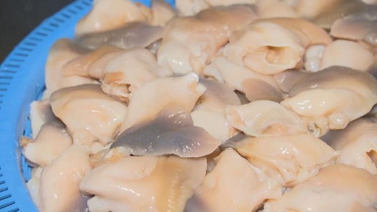 こんなにも長く愛されるのはワケがある？苫小牧名物「ホッキカレー」誕生秘話