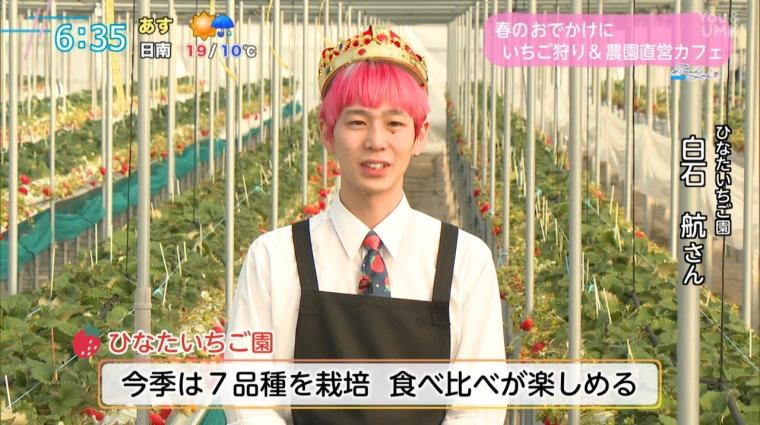 【宮崎】春のお出かけにぴったり！食べ放題のいちご狩り＆直営カフェ（宮崎市郡司分）