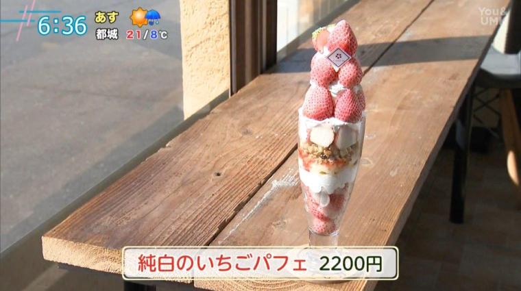 【宮崎】春のお出かけにぴったり！食べ放題のいちご狩り＆直営カフェ（宮崎市郡司分）