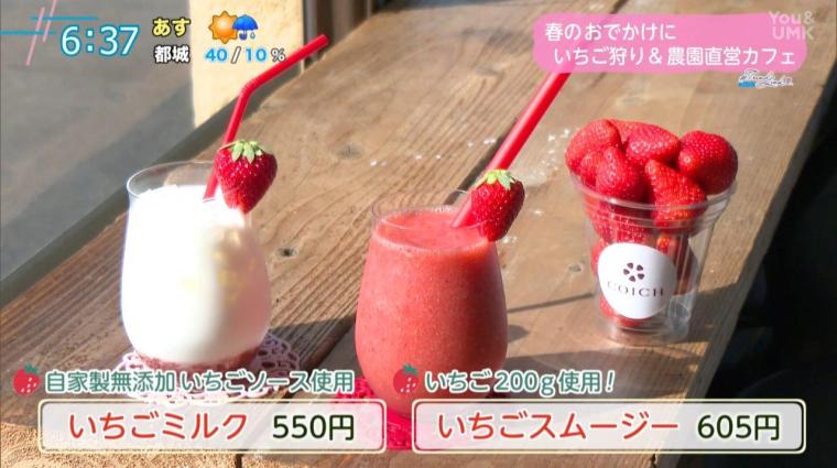 【宮崎】春のお出かけにぴったり！食べ放題のいちご狩り＆直営カフェ（宮崎市郡司分）