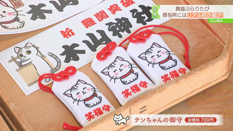 リアル招き猫「てんちゃん」が話題に。1200 年以上前に創建された、岡山県真庭市の由緒ある木山神社をご紹介
