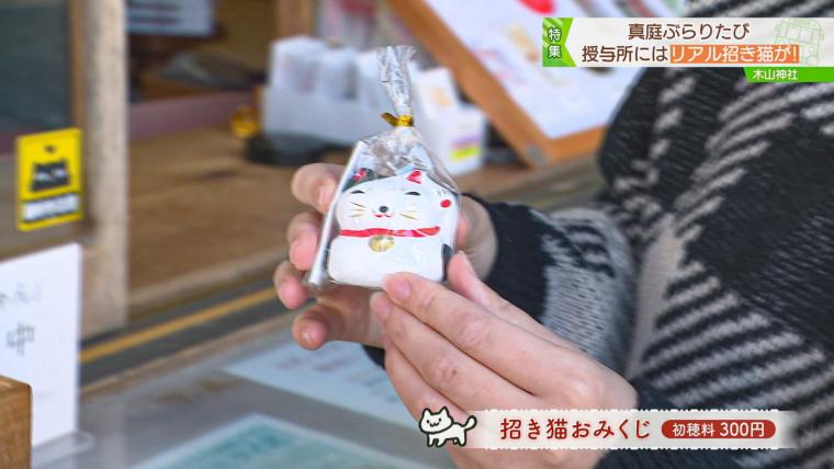 リアル招き猫「てんちゃん」が話題に。1200 年以上前に創建された、岡山県真庭市の由緒ある木山神社をご紹介