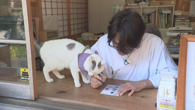 リアル招き猫「てんちゃん」が話題に。1200 年以上前に創建された、岡山県真庭市の由緒ある木山神社をご紹介