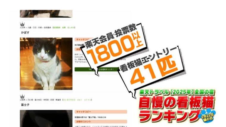 日本一の看板猫が大分に？すご～い猫ちゃん大集合SP