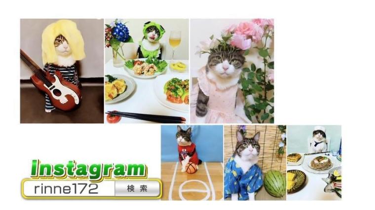 日本一の看板猫が大分に？すご～い猫ちゃん大集合SP