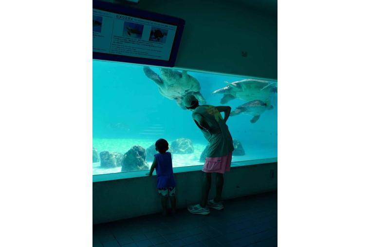 沖縄で”子どもが喜ぶ”オススメのお出かけ先や遊び場！（前編）＜武智志穂の“沖縄移住のリアル”＞