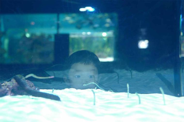 沖縄で”子どもが喜ぶ”オススメのお出かけ先や遊び場！（前編）＜武智志穂の“沖縄移住のリアル”＞