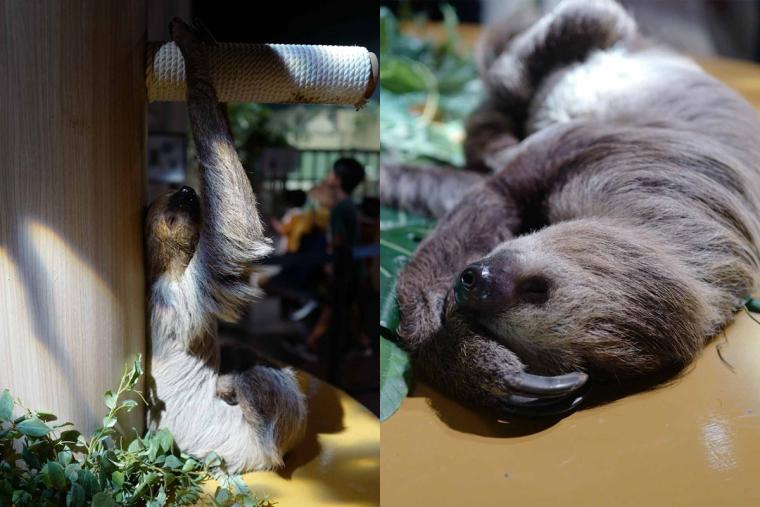 沖縄で”子どもが喜ぶ”オススメのお出かけ先や遊び場！（前編）＜武智志穂の“沖縄移住のリアル”＞