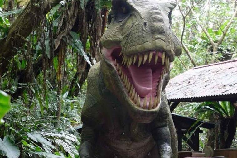 沖縄で”子どもが喜ぶ”オススメのお出かけ先や遊び場！（後編）＜武智志穂の“沖縄移住のリアル”＞