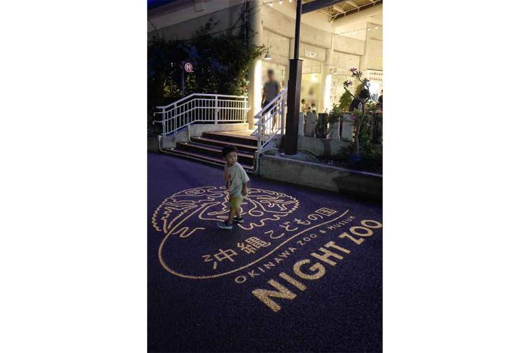 沖縄で”子どもが喜ぶ”オススメのお出かけ先や遊び場！（後編）＜武智志穂の“沖縄移住のリアル”＞