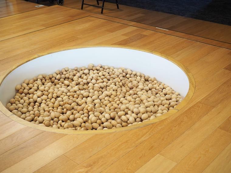 「梅小路ポテル京都」無料サービス