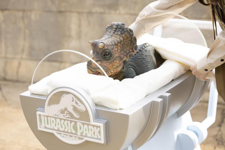 USJ ジュラシック・ワールド2025