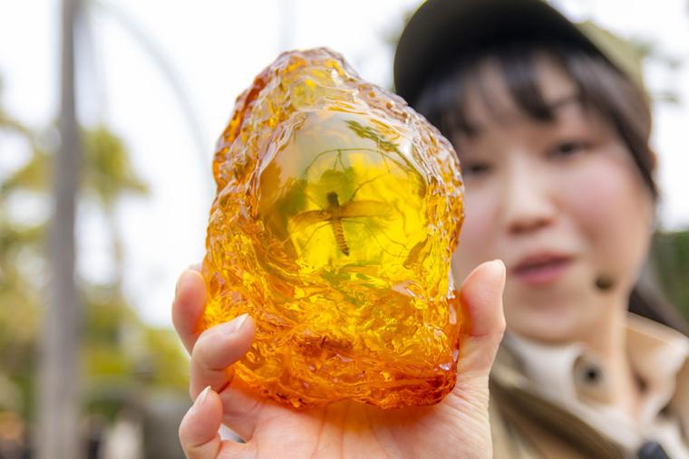 USJ ジュラシック・ワールド2025