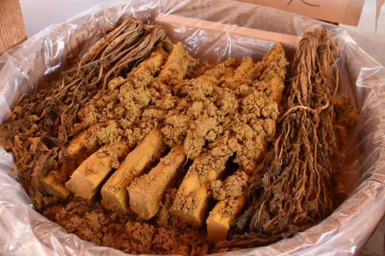 VISONで多彩なグルメや薬草湯を堪能する