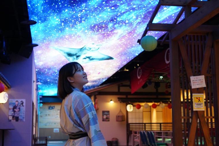 レトロゴージャスな温浴テーマパークも！東京駅から 1 時間半のオアシス「インターナショナルリゾートホテル 湯楽城」宿泊体験記