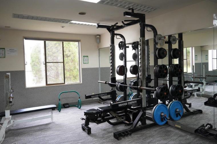 レトロゴージャスな温浴テーマパークも！東京駅から 1 時間半のオアシス「インターナショナルリゾートホテル 湯楽城」宿泊体験記