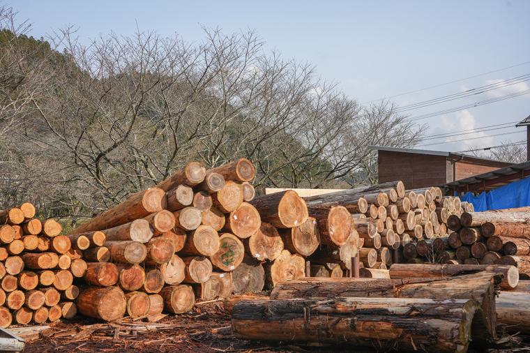 新旧の観光スポットに注目！今こそ行きたい「熊本・阿蘇」の旅