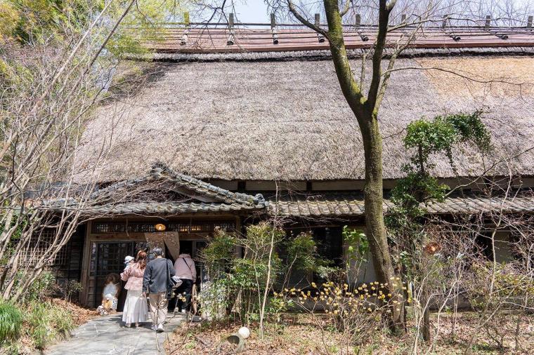 新旧の観光スポットに注目！今こそ行きたい「熊本・阿蘇」の旅