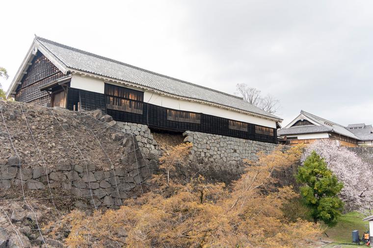 新旧の観光スポットに注目！今こそ行きたい「熊本・阿蘇」の旅