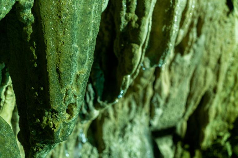 おいしい米焼酎に、隈研吾建築も！熊本・人吉で復興ツーリズム