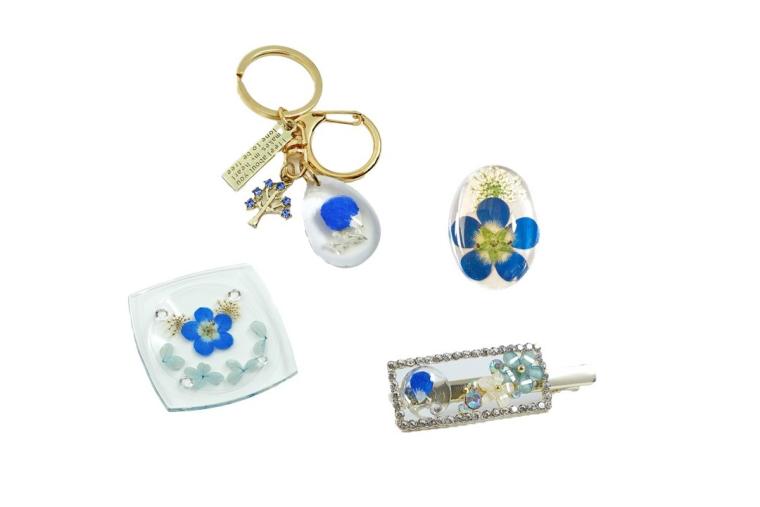 国営ひたち海浜公園・ネモフィラリアルフラワーコレクション