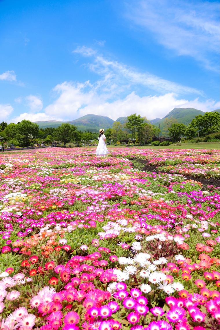 くじゅう花公園スプリングフラワーフェスタ